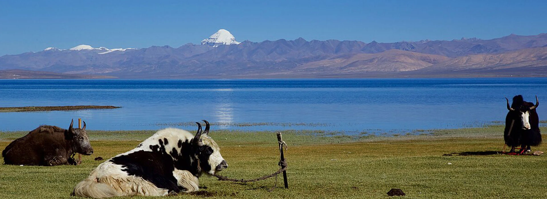 Kailash Mansarovar Tour