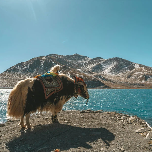 kailash Mansarovar Yatra for Indian Pilgrims