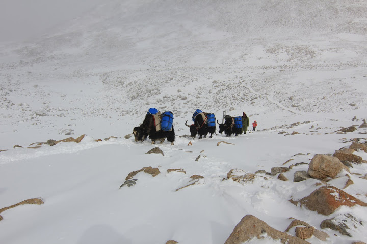 Kailash Parikrama