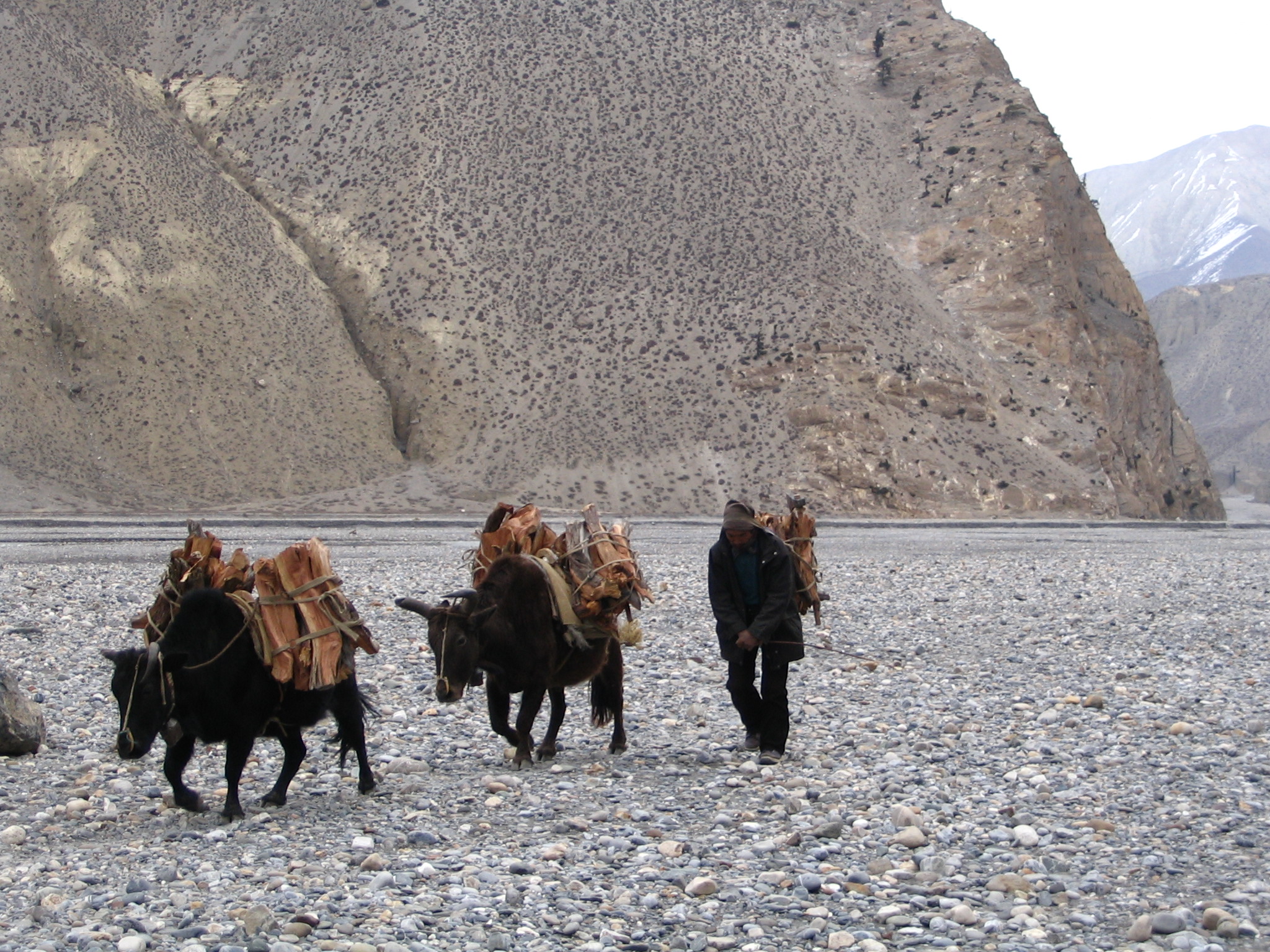 Lhasa Packing
