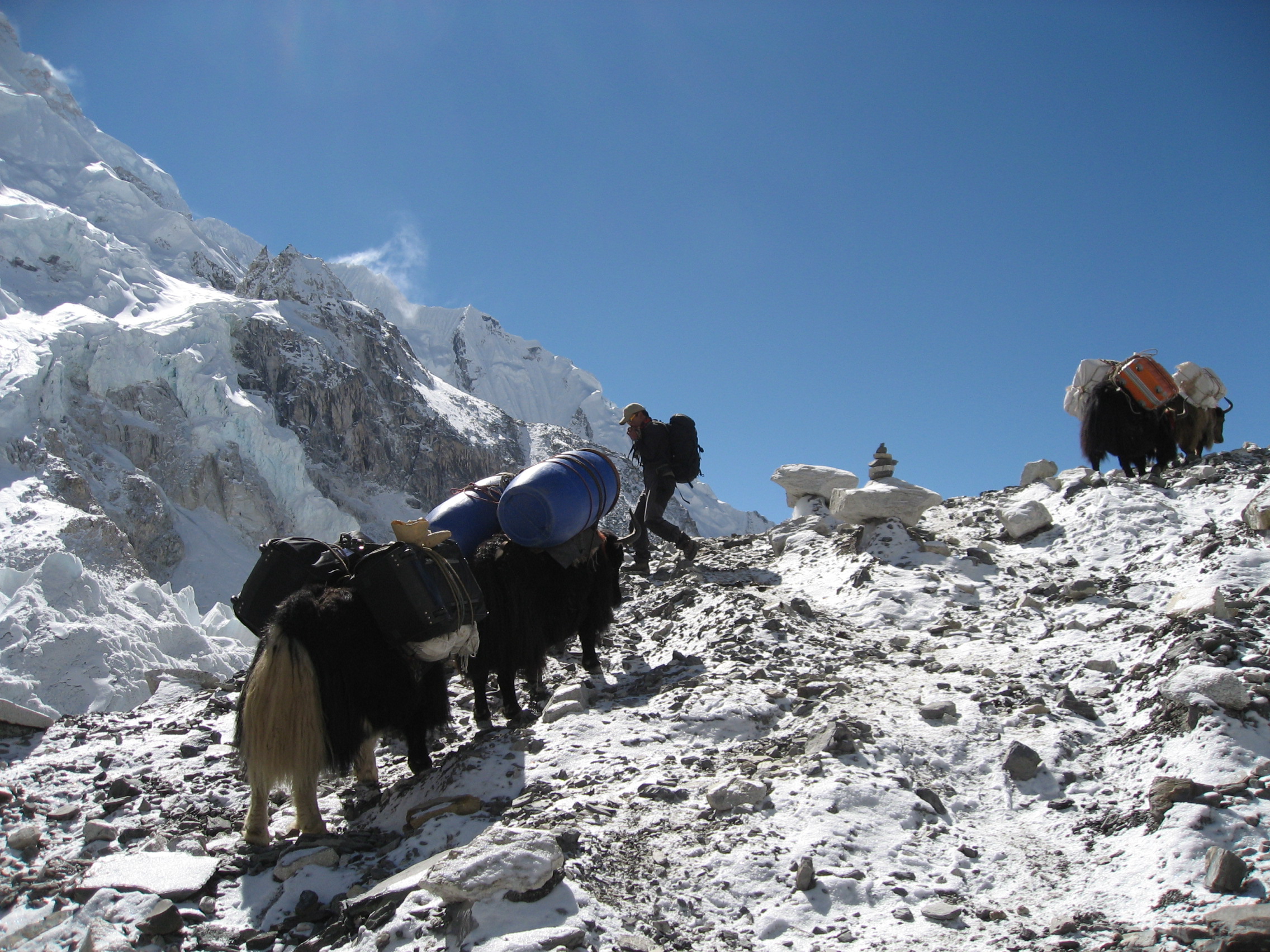 Multi General Trek to EBC
