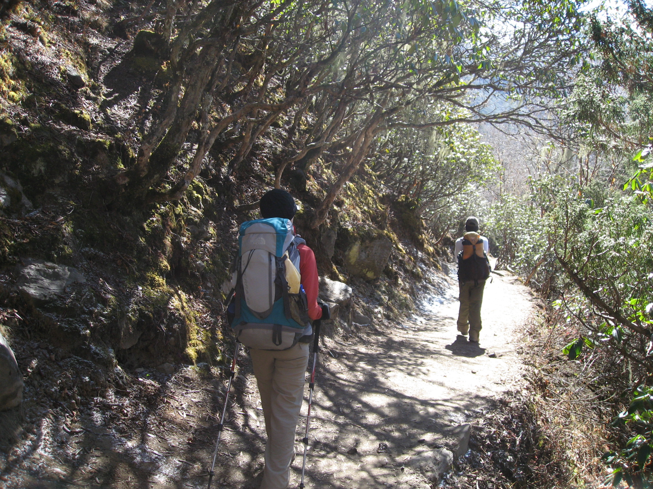 Everest Trek Acclimatization Style