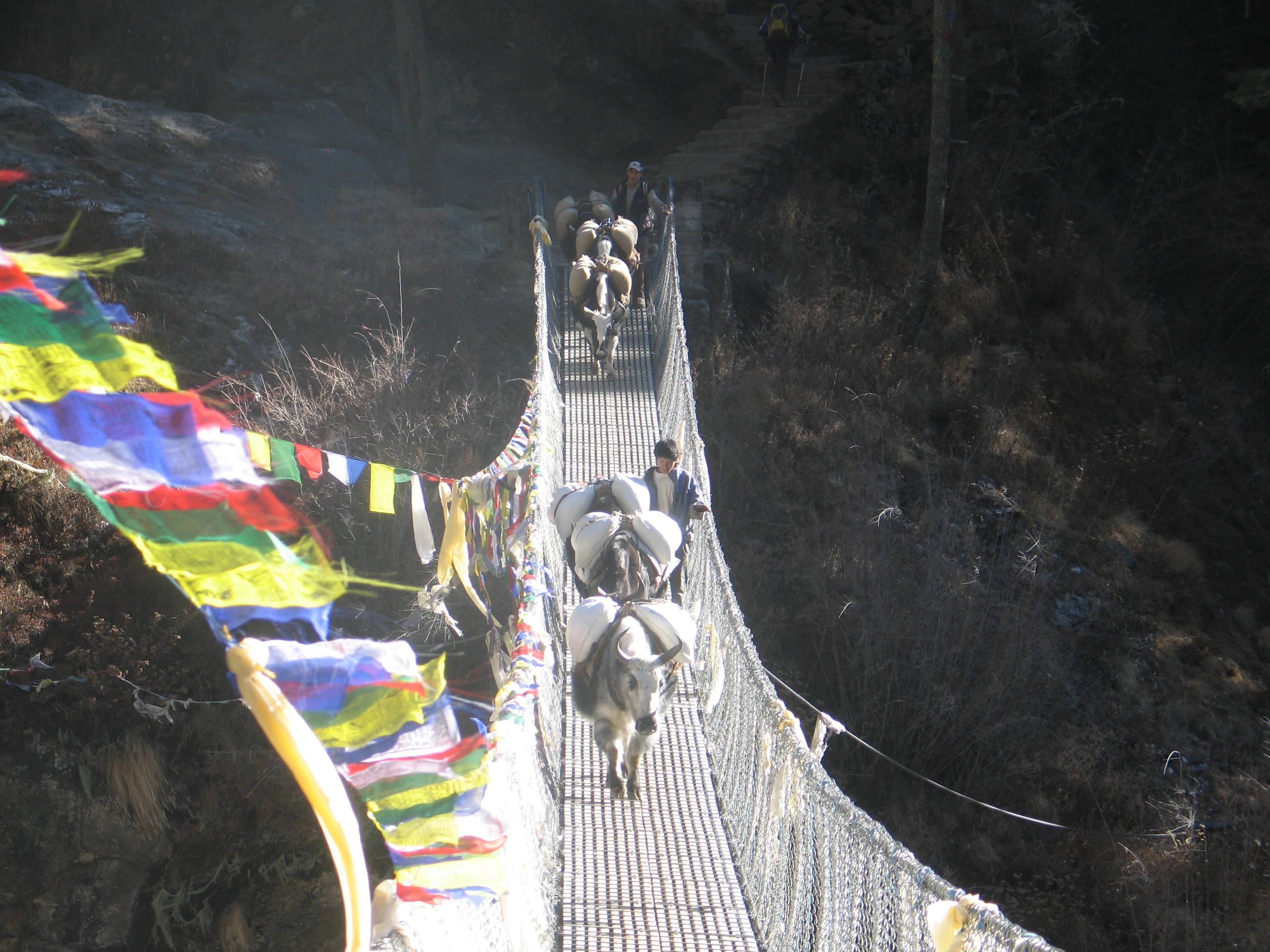 Khumbu Bridge of Everest