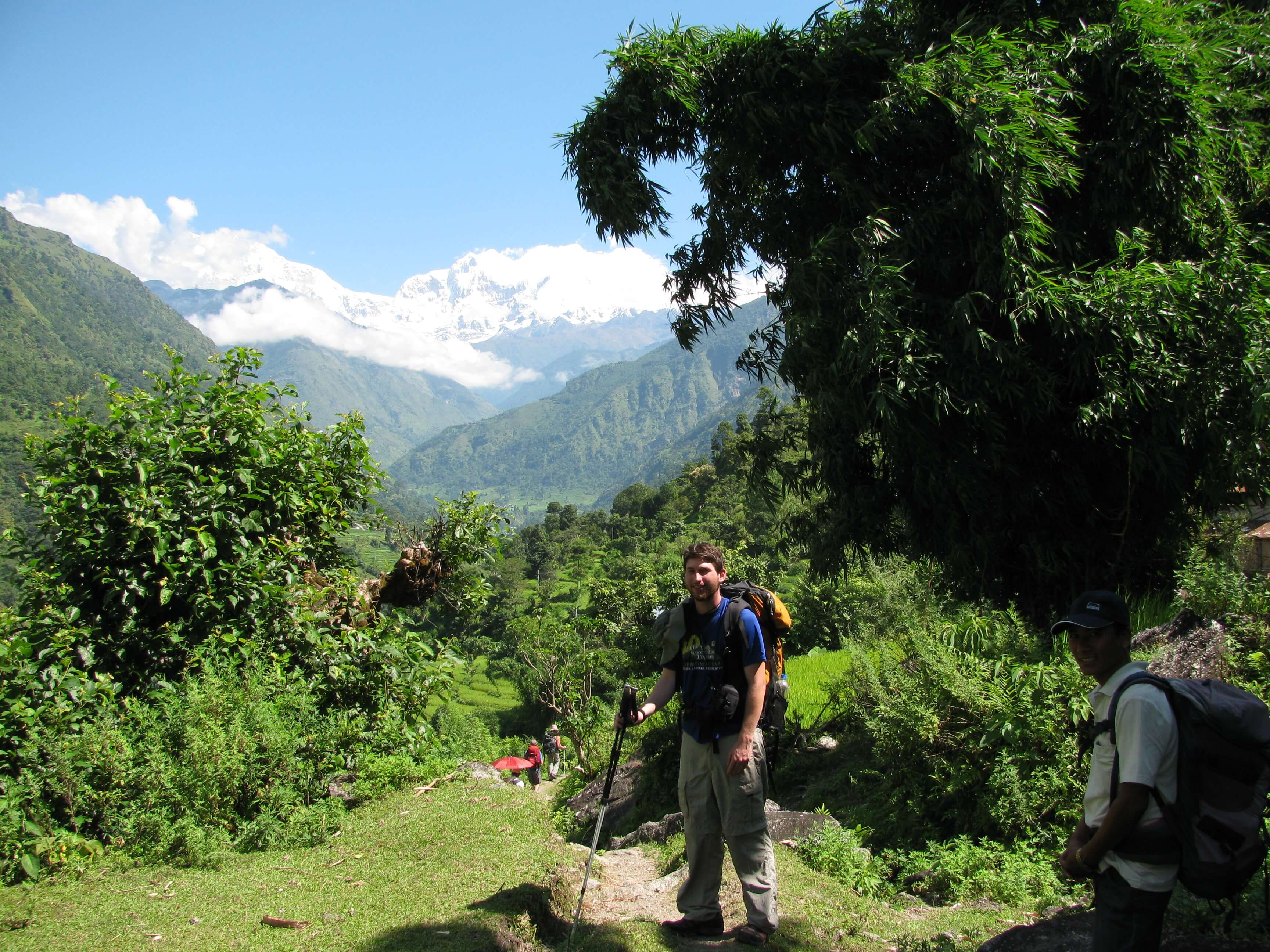 Into the Wild: Nepal's Jungle Safari Experience