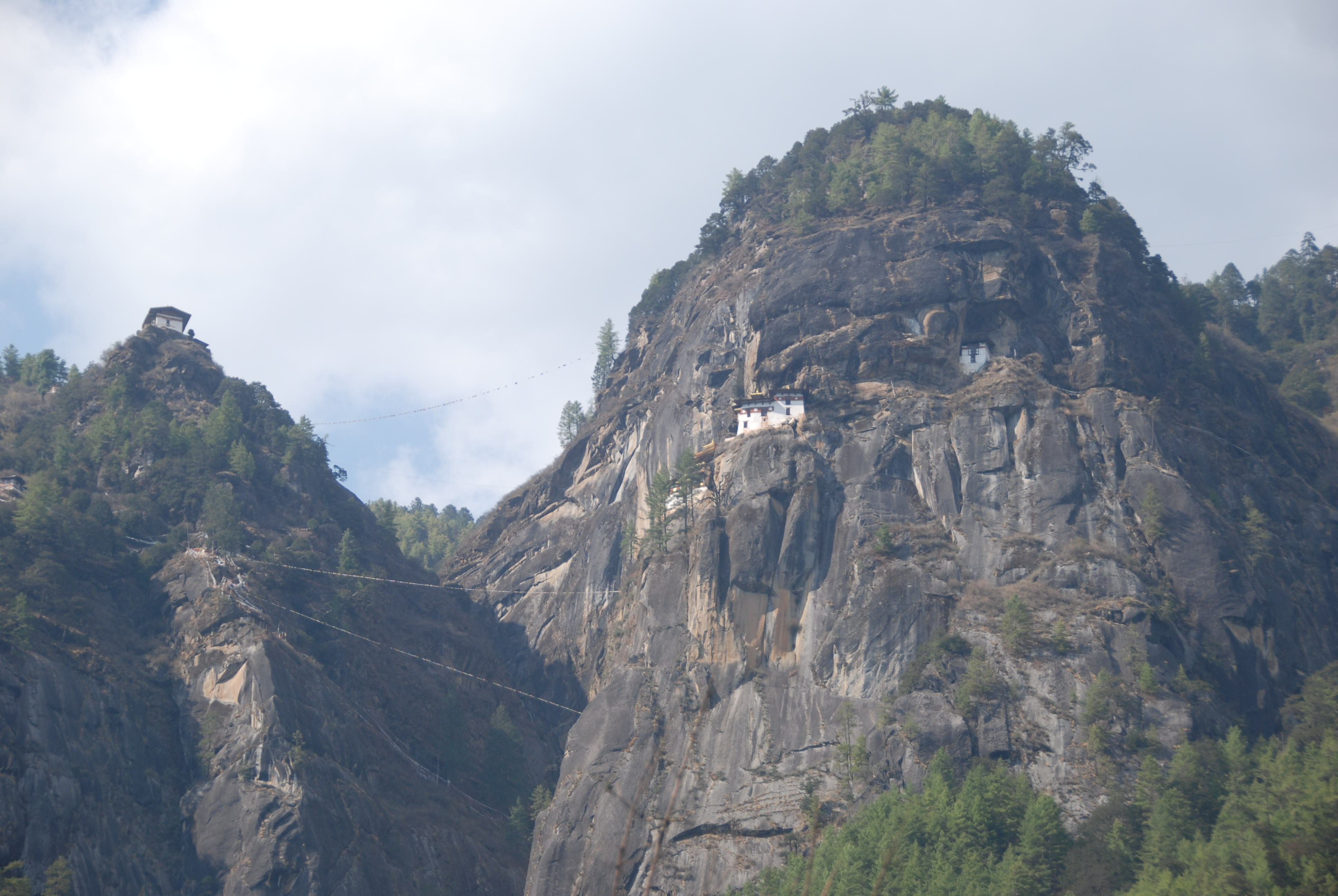 Punakha: The Valley of Bhutan's Grandest Dzong