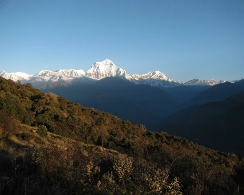 Ghorepani Poon Hill Trek