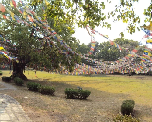 Lumbini Cultural Tour Prayer Flag