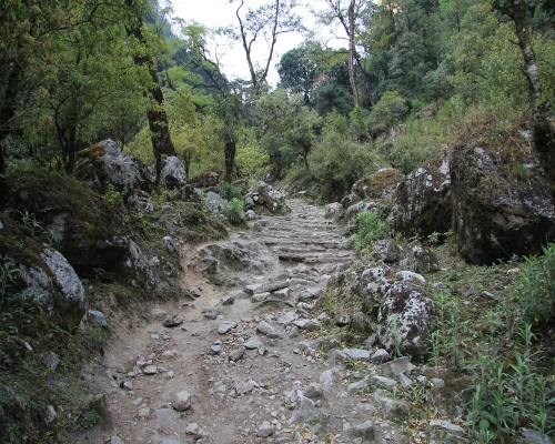Mardi Himal Trek Road