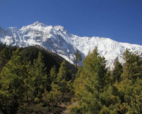 Mardi Himal Trek