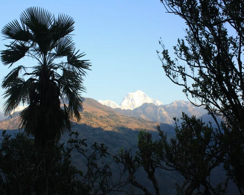 Mohare Danda Trek View