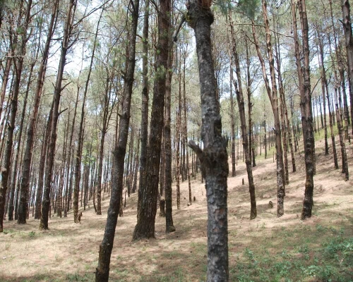 Nepal Classic Tour Photo