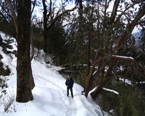 Short Annapurna Base Camp Trek Snow