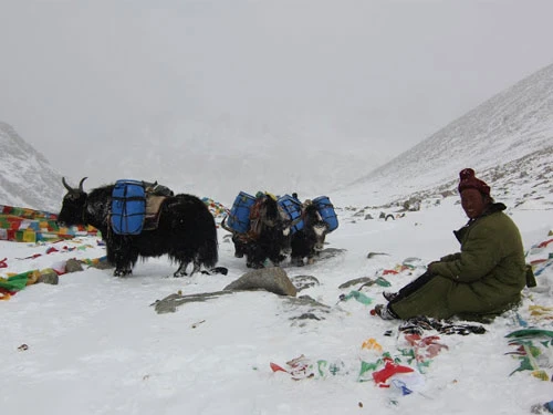 The Call of Mount Kailash: A Sacred Himalayan Journey for Indian Devotees Via Nepal